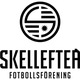 斯盖乐夫提logo
