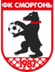 斯莫根女足logo