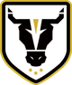 公牛学院女足logo