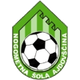 阿吉多夫西纳女足logo