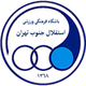 祖布斯独立logo