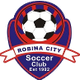 罗宾市蓝logo