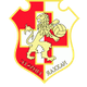 纳沙尔狮队logo