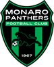 莫纳洛黑豹logo
