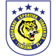 提拉登提斯PI女足logo