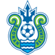 湘南丽海室内足球队logo
