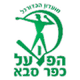 法萨巴夏普尔logo