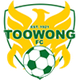 图旺logo